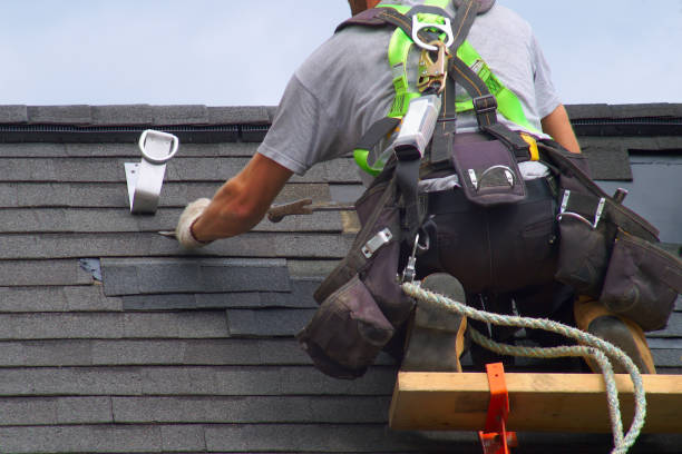 Best Roof Restoration Services  in Demorest, GA