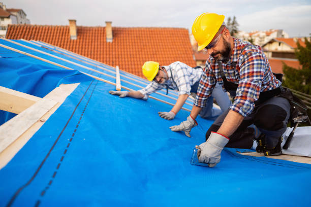 Best Emergency Roof Repair  in Demorest, GA